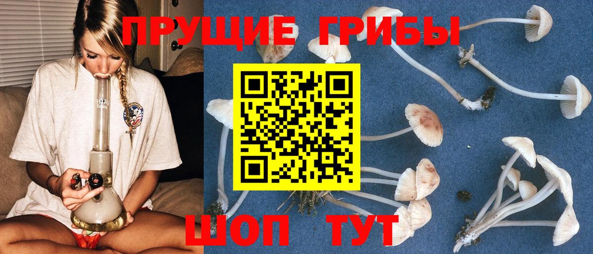 Галлюциногенные грибы Psilocybe  Вход с VPN  Ивантеевка 